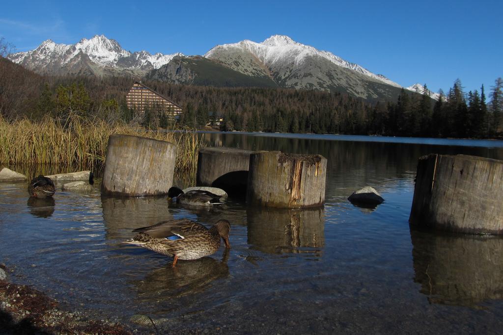 Apartmán Štrbské Pleso - Crocus 219 Quarto foto